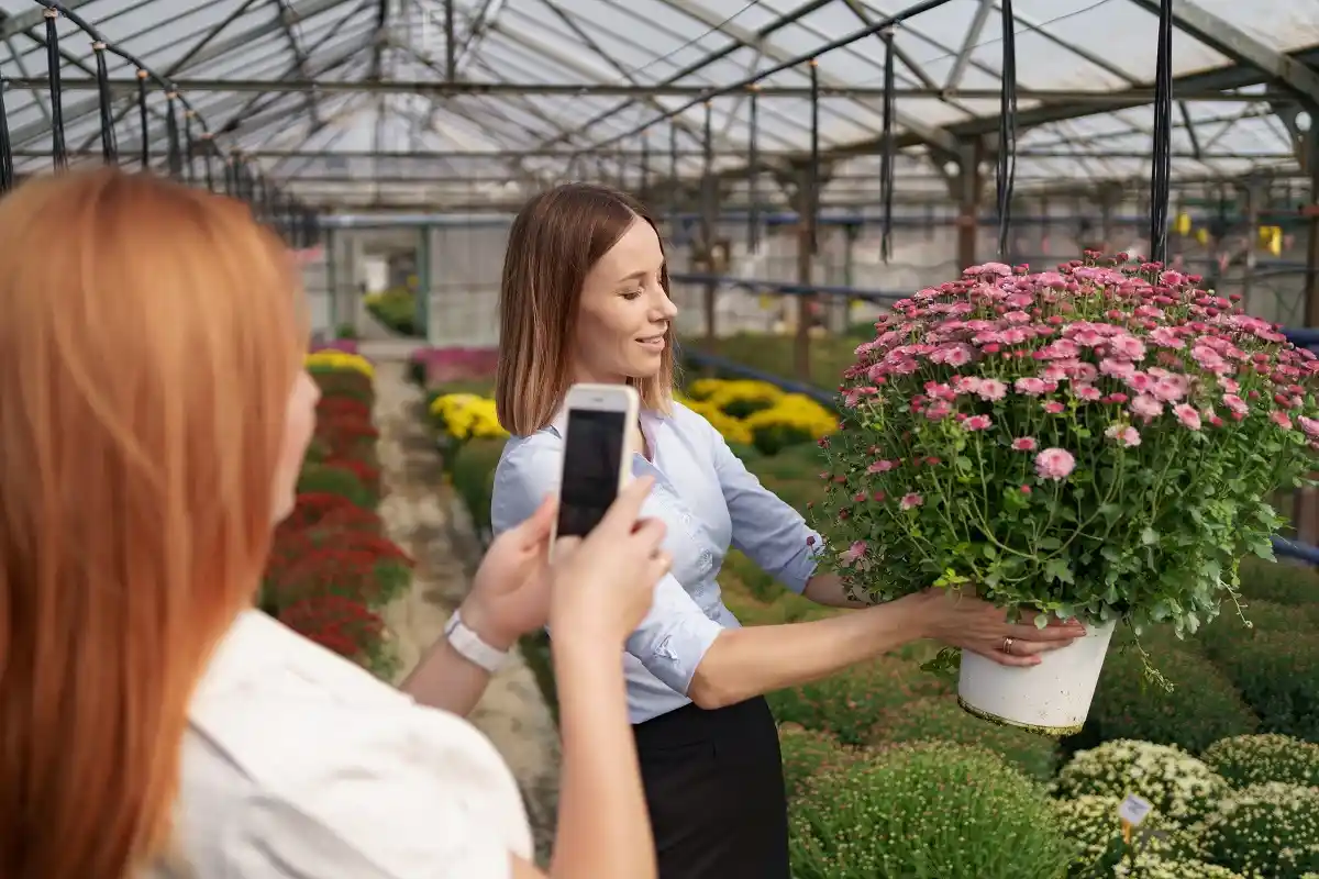 MyWirelessCoupons Garden: Your Ultimate Guide to Smart Savings on Gardening Essentials